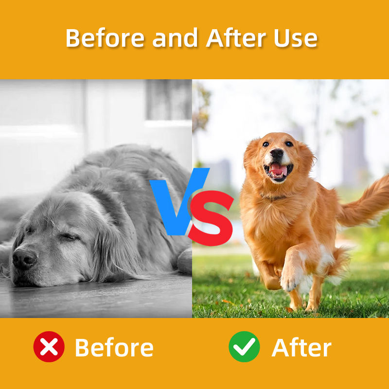 Allergy Support Supplements for Dogs and Cats Effective Relief for Pet Itch Quality Pet Health Care Supplements - Image 3