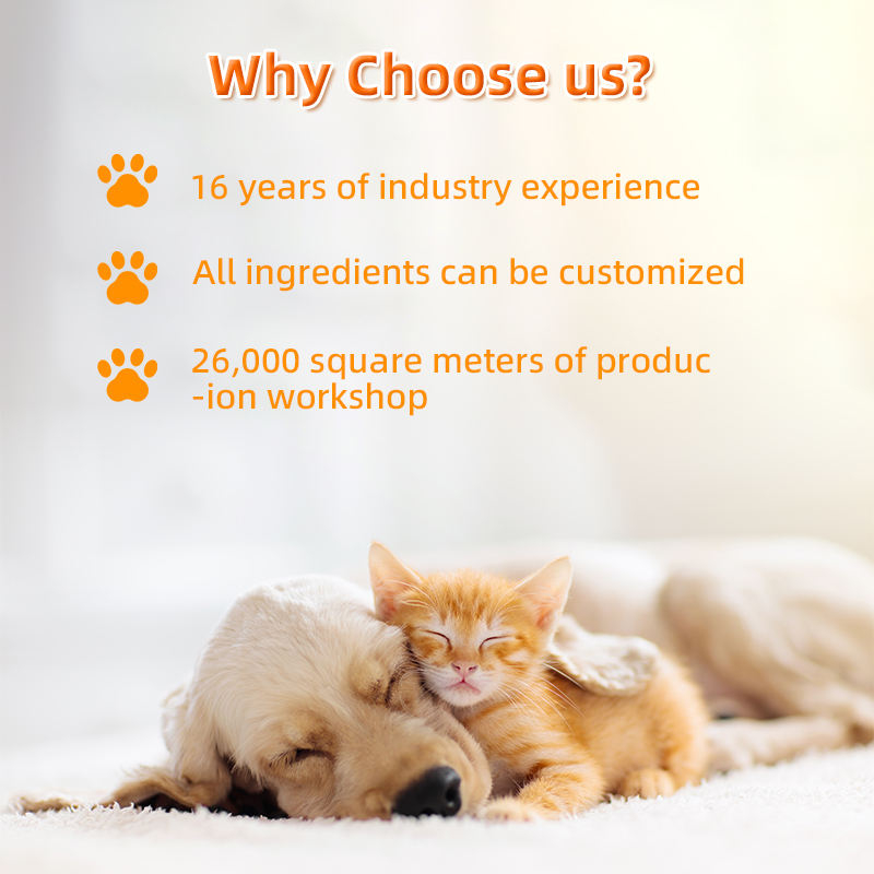 Allergy Support Supplements for Dogs and Cats Effective Relief for Pet Itch Quality Pet Health Care Supplements - Image 4
