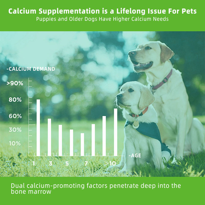 Wholesale Hip & Joint Nutrition Gel for Dogs and Cats Gentle Alleviate Pain and Restore Support Mobility and Joint Health - Image 2