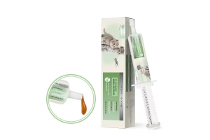 4 膏剂 paste gel