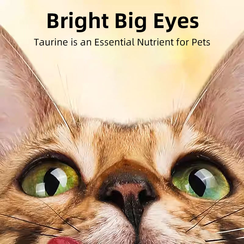 Custom Pet Nutrition Tear Stain Replenishing Drops Support Eye Health and the Immune System in Cats and Dogs - Image 3