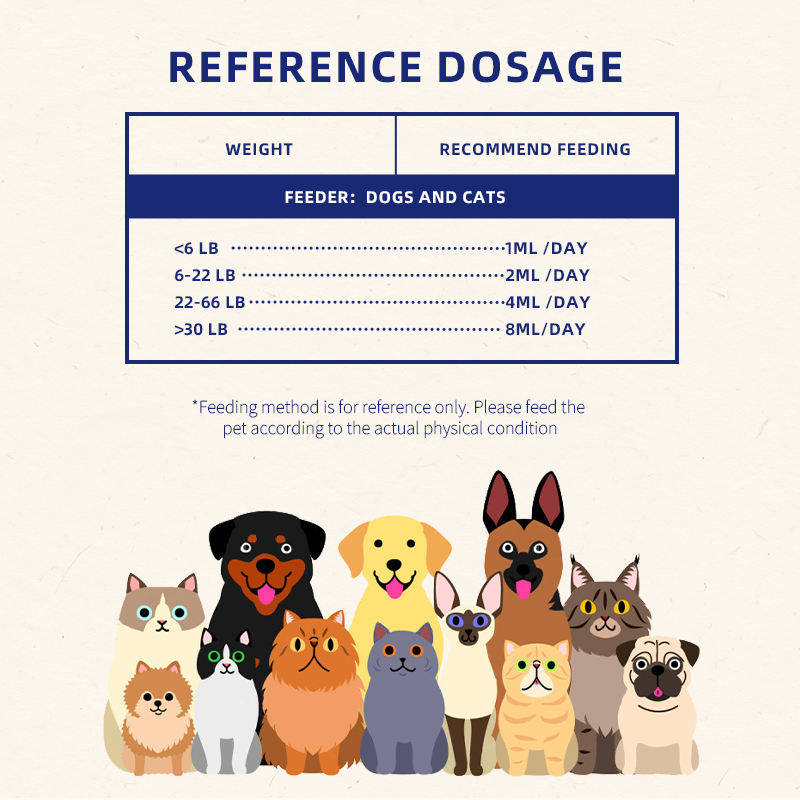 Dog & Cat Bone Growth Support Liquid Drops with Fast Absorption-Safe Calcium Absorption Aid Vitamin D Supplement (60ml) - Image 2