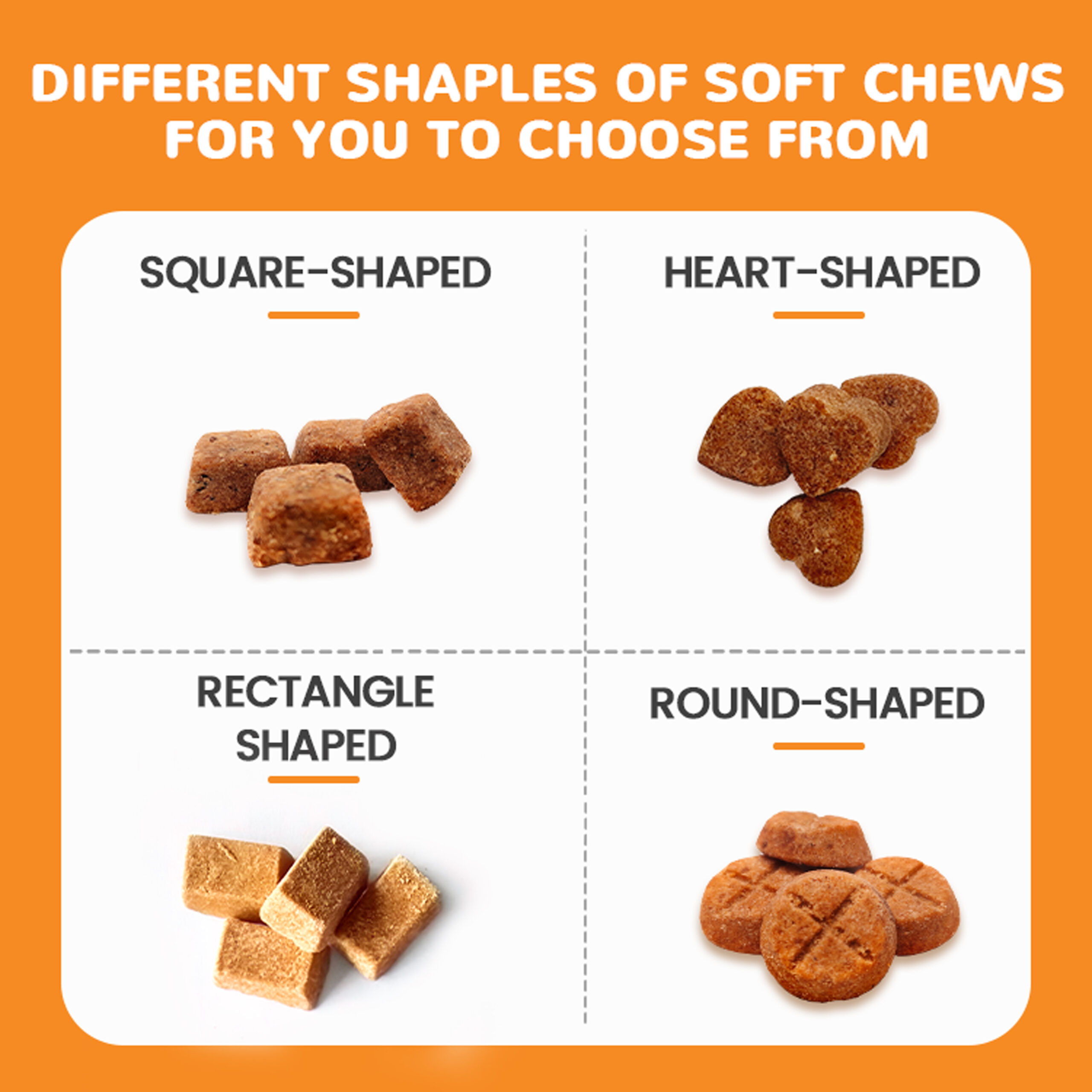 OEM ODM Pet Multivitamin Supplement - Advanced 10-in-1 Daily Balance Soft Chews - Large Scale Production Private Label Factory - Image 2