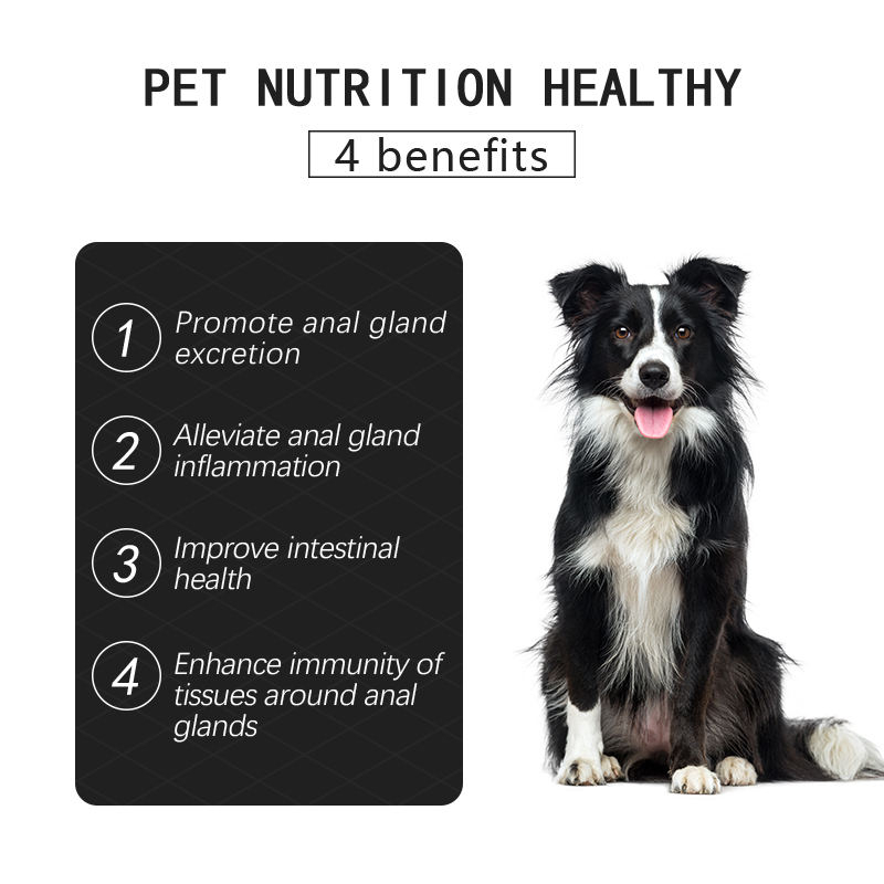 Private Label Pet Health Care & Supplements Dog Supplement Soft Chews Pet Probiotic Anal Gland Support Chews for Dogs - Image 2