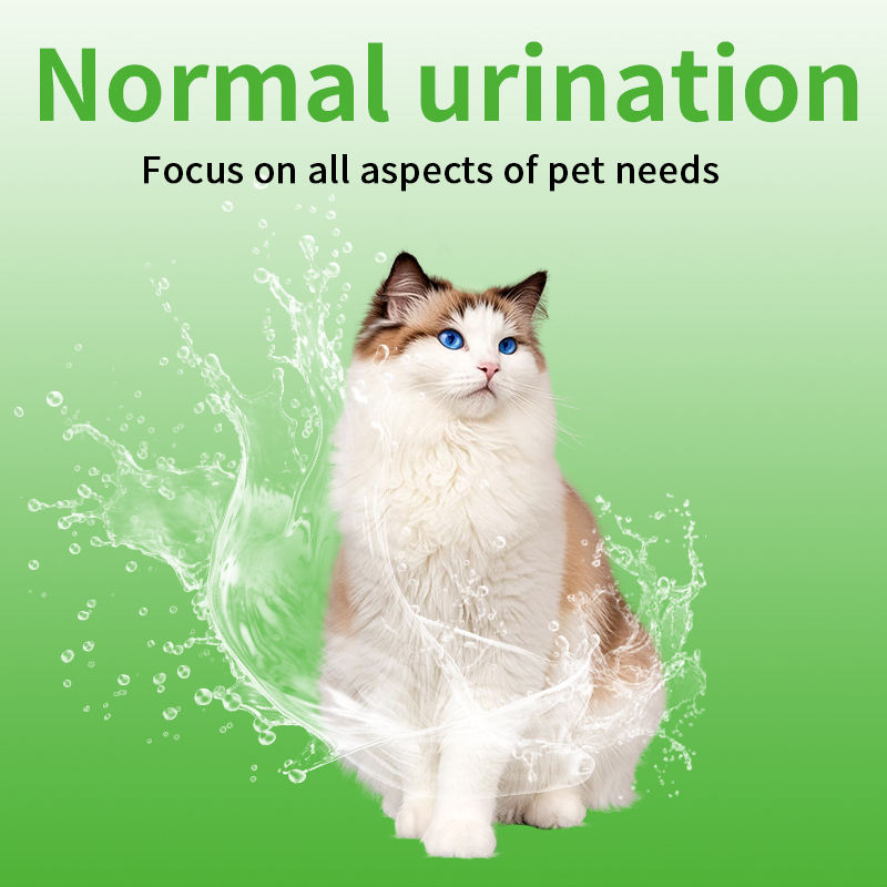 Wholesale Pet Supplements Probiotics Dog Treats Multivitamin Soft Chews Soft Chews cat Dogs Tract Health for Urinary - Image 3