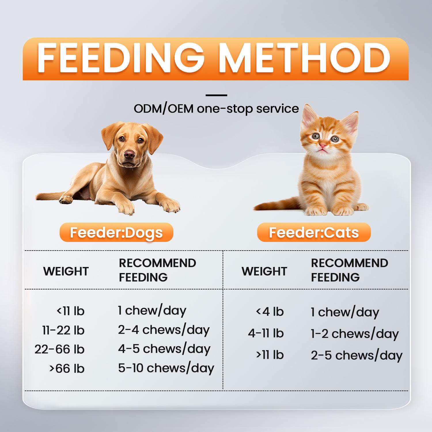 OEM ODM Pet Multivitamin Supplement - Advanced 10-in-1 Daily Balance Soft Chews - Large Scale Production Private Label Factory - Image 4