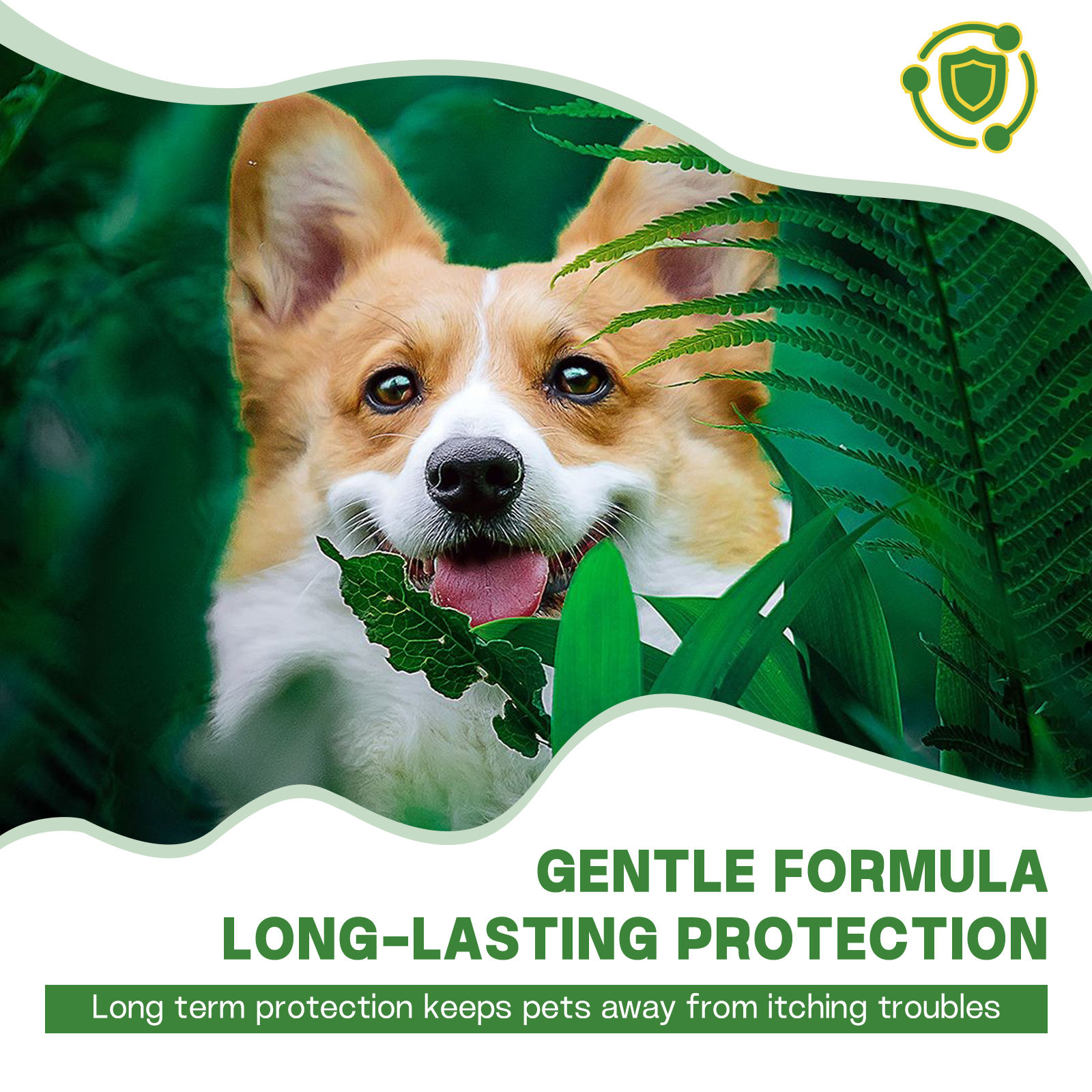 ODM/OEM Pet Nutrition Supplement Deworming Powder for Cats Dogs for Health Care Packed in Bottles Herbal Supplements - Image 2
