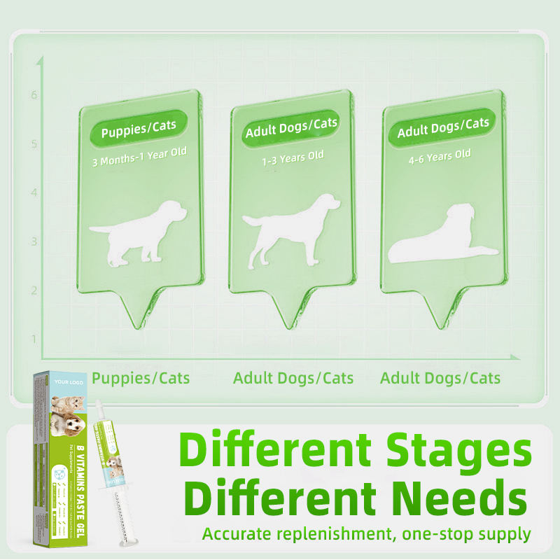 Vitamin B Complex Nutritional Paste for Dogs & Cats-Fast Absorption Immune Support & Gut Health Care 30ml - Image 2