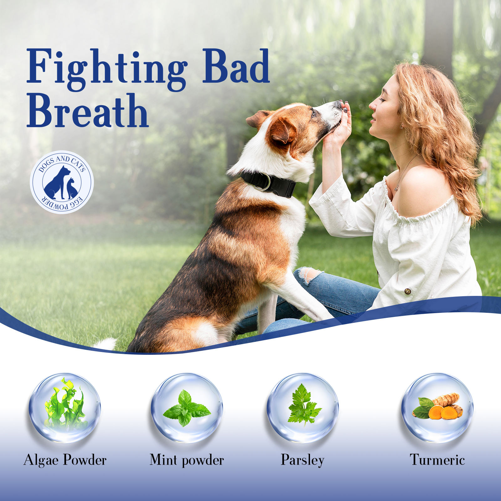 ODM/OEM Oral Health Supplement - Natural Dog Tooth Whitening, Tartar Removal, Dog Teeth Cleaning Powder for Pets - Image 2