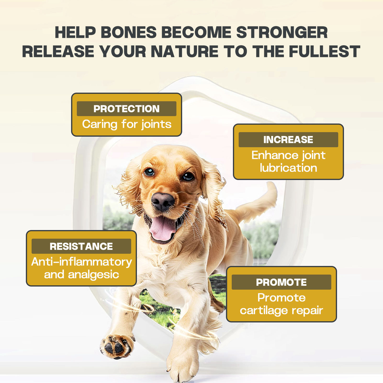 The Mobility Support of the OEM Hip Joint and the Joint Care Powder Help Protect the Cartilage and Maintain Joint Health - Image 2