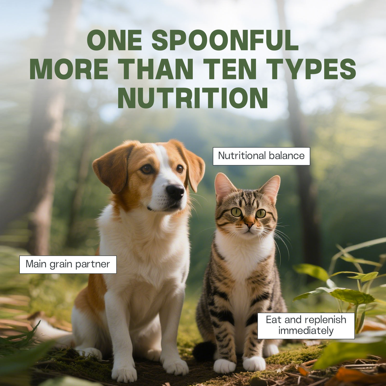 Pet Supplement Combined for Cats and Dogs, for Skin Health, Digestive Health, Probiotic, Immune System, Comprehensive Vitamin - Image 2