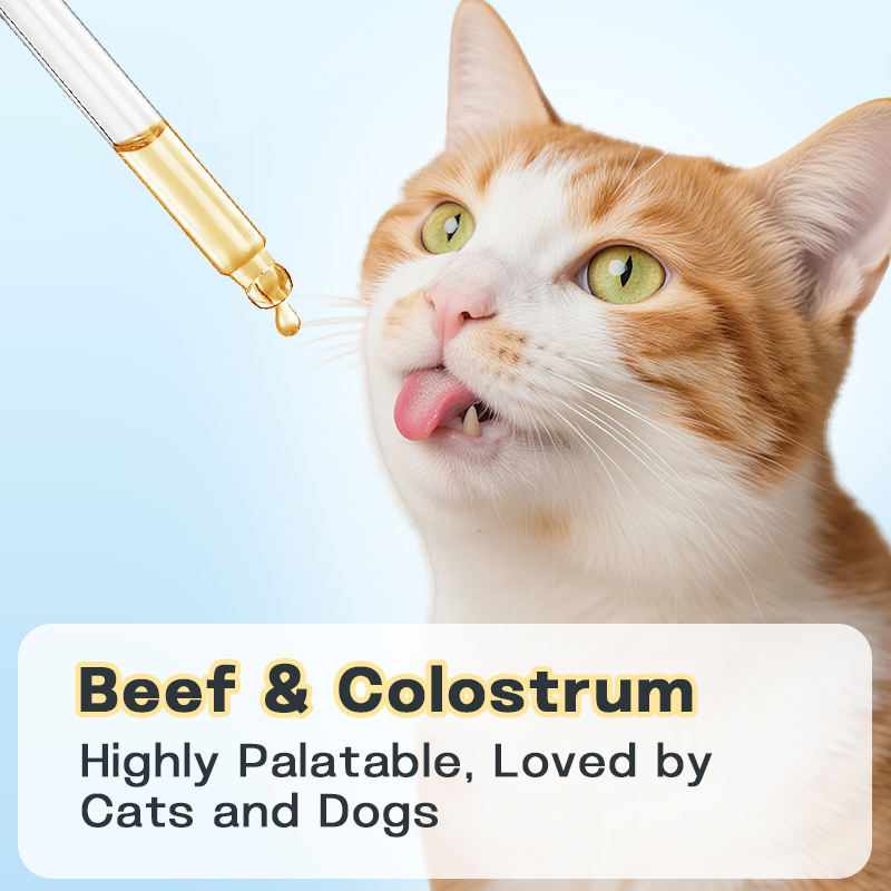 Natural Quercetin Extract Drops Allergy Supplement to Boost Immunity and Promote Cellular Health for Cats and Dogs - Image 2