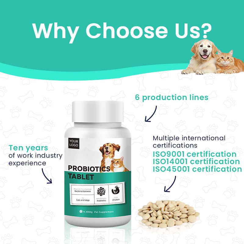 OEM/ODM Customized Probiotic Vitamin Tablets for Dogs and Cats Pet Health Care Supplements to Enhance Immunity and Fight Fleas - Image 2