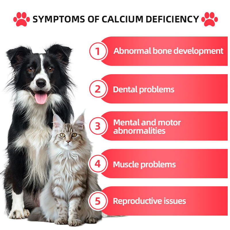 Factory-customized Pet Supplement Calcium Tablets Containing Vitamins to Promote Bone Health in Cats and Dogs - Image 3