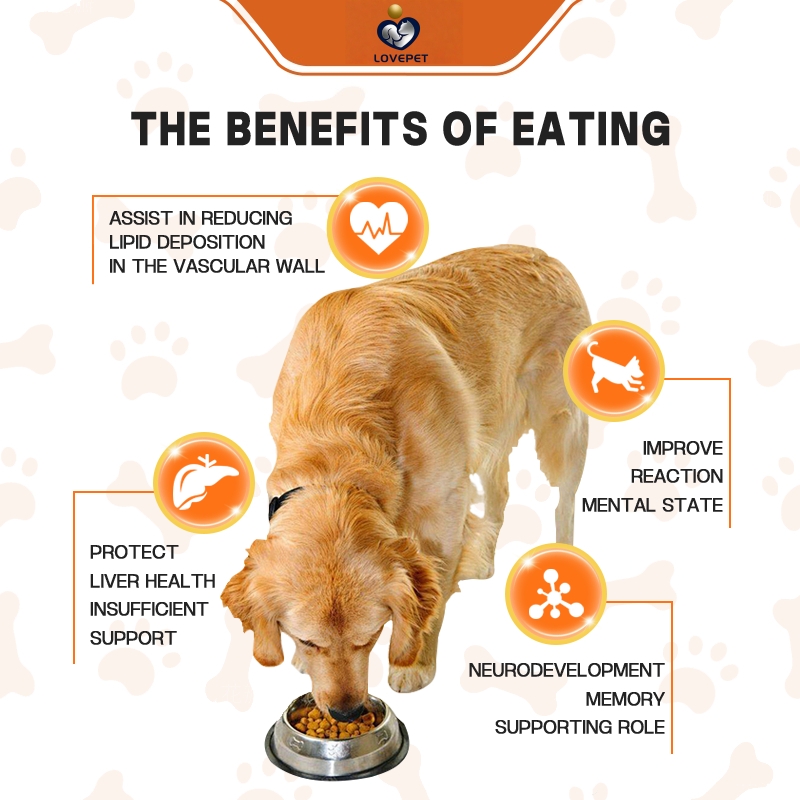 OEM/ODM No Poo Soft Chews for Cats and Dogs Pet Health Care Supplements Customized Flavors, Customized Shapes Pet Supplement - Image 3