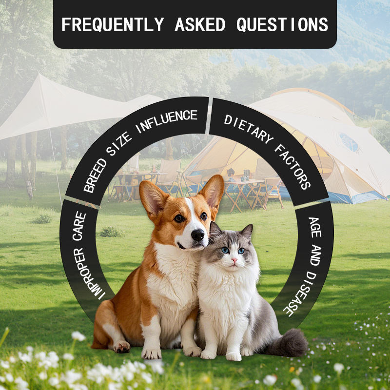 Private Label Pet Health Care & Supplements Dog Supplement Soft Chews Pet Probiotic Anal Gland Support Chews for Dogs - Image 3