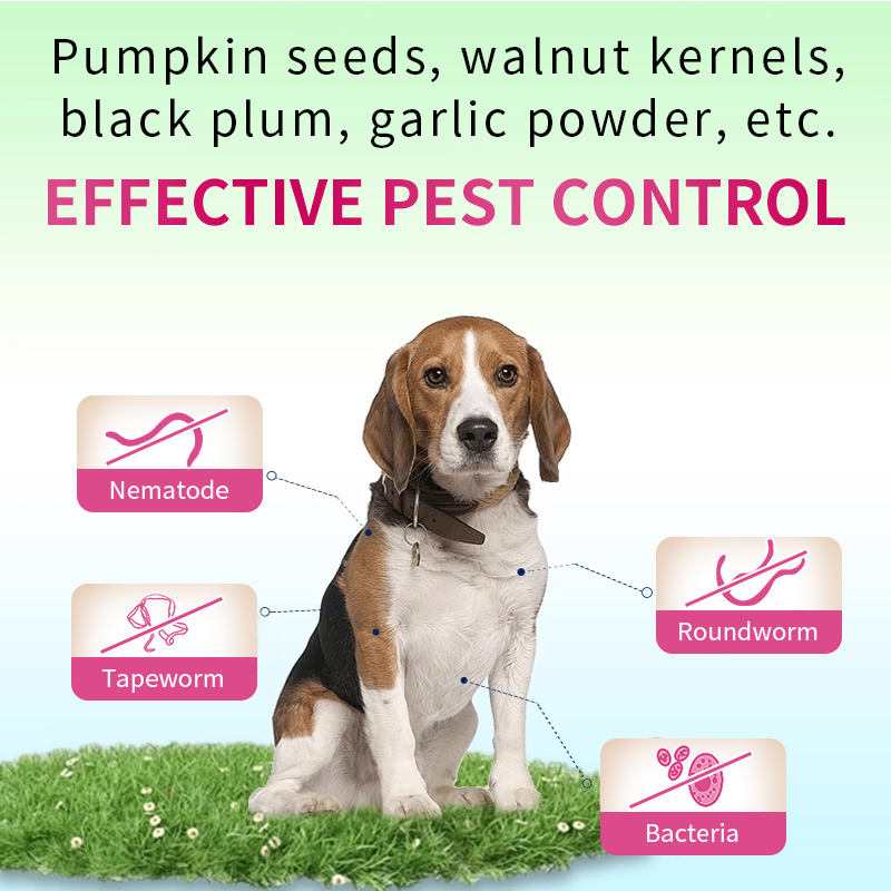 Wholesale Dog Vitamins Deworm Supplement Dog Deworming Soft Chews Pet Supplements Vitamins for Adult Pet Nutritional Supplements - Image 3