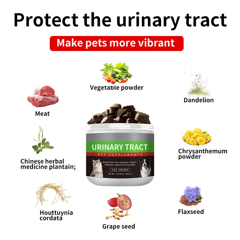 Wholesale Pet Supplements Probiotics Dog Treats Multivitamin Soft Chews Soft Chews cat Dogs Tract Health for Urinary - Image 4