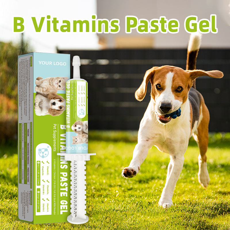 Vitamin B Complex Nutritional Paste for Dogs & Cats-Fast Absorption Immune Support & Gut Health Care 30ml - Image 3