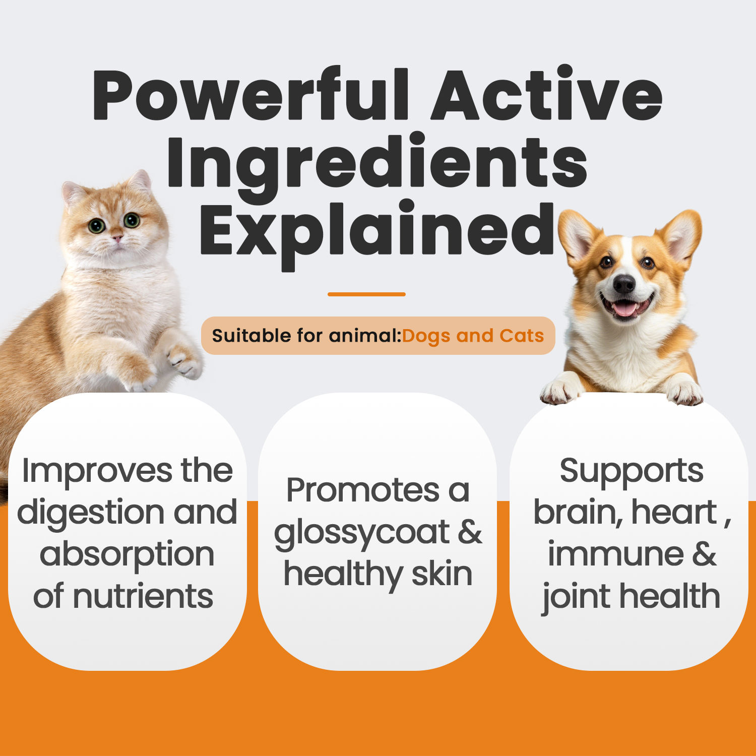 Pet Nutritional Supplement Soft Chews Pet Joint Health Dog Supplements and Vitamins Hip and Joint Supplement for Dogs - Image 2