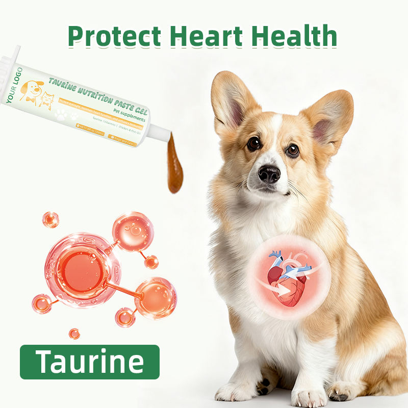 Taurine Health Care Pet Gel Immunity Support Nutrition Supplement with Vitamins for Dog and Cat - Image 3