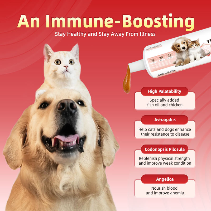 Customized Nutritional Gel Paste for Dogs and Cats Supporting Passive Immune Health Factory Direct OEM ODM - Image 3