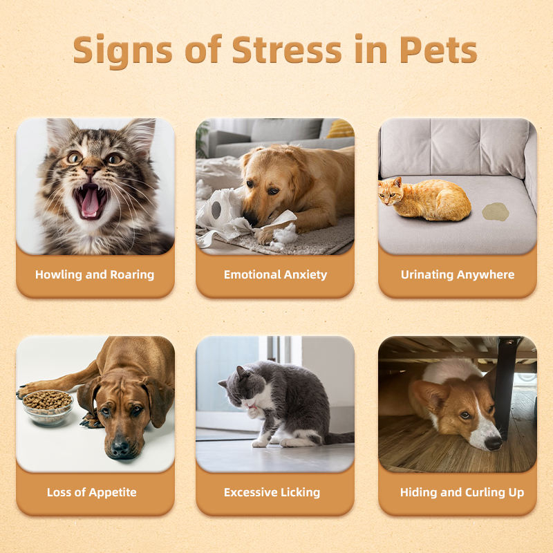 Customizable Calming Liquid Drops Pet Supplement Supports Stress Relief and Promotes Relaxation in Dogs Puppies and Cats - Image 3
