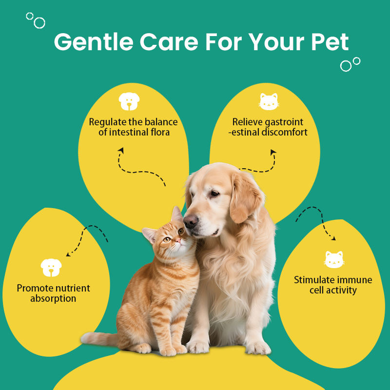OEM/ODM Customized Probiotic Vitamin Tablets for Dogs and Cats Pet Health Care Supplements to Enhance Immunity and Fight Fleas - Image 3