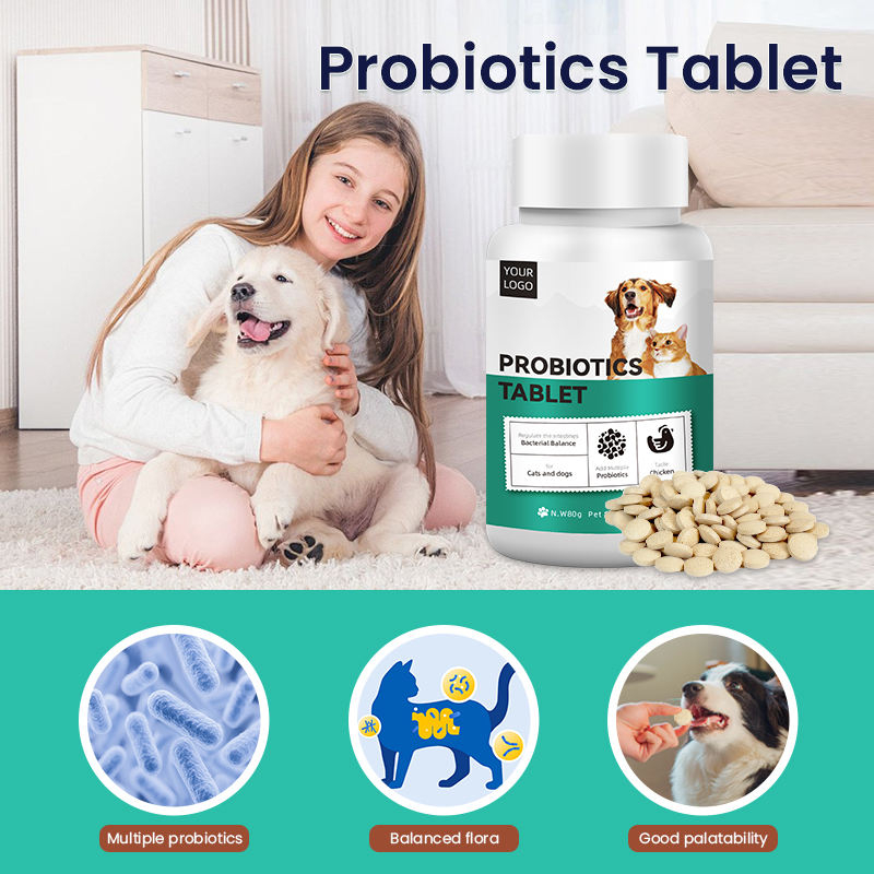 OEM/ODM Customized Probiotic Vitamin Tablets for Dogs and Cats Pet Health Care Supplements to Enhance Immunity and Fight Fleas - Image 4