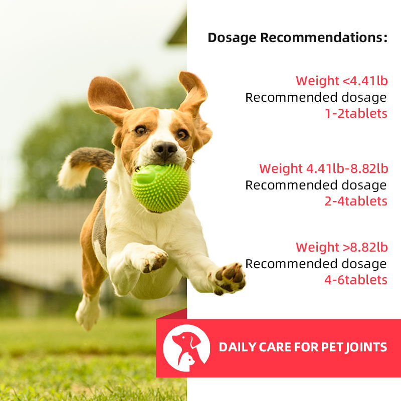 Factory-customized Pet Supplement Calcium Tablets Containing Vitamins to Promote Bone Health in Cats and Dogs - Image 4