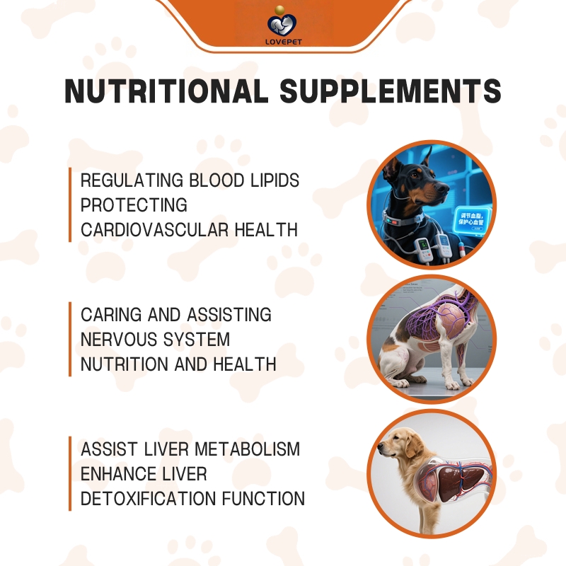 OEM/ODM No Poo Soft Chews for Cats and Dogs Pet Health Care Supplements Customized Flavors, Customized Shapes Pet Supplement - Image 4