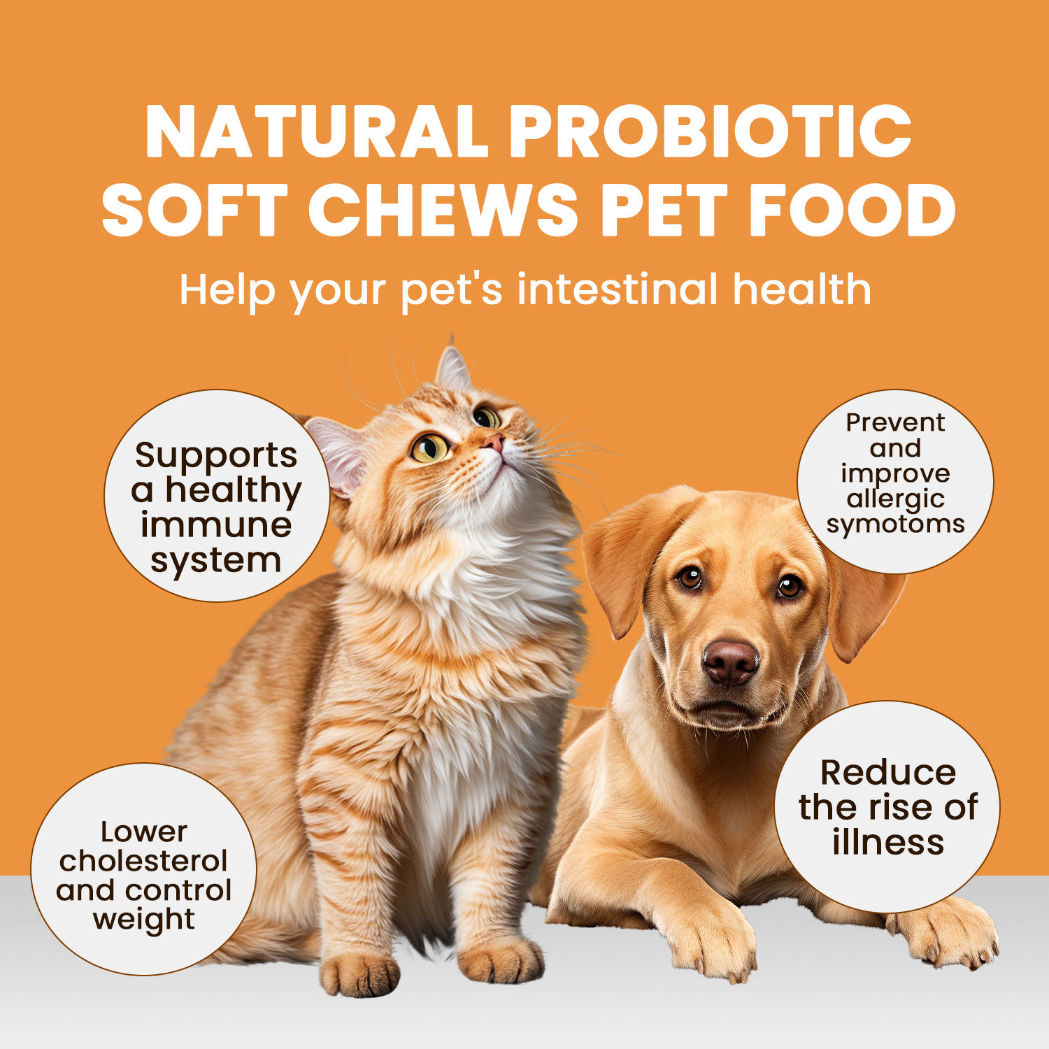 Pet Nutritional Supplement Soft Chews Pet Joint Health Dog Supplements and Vitamins Hip and Joint Supplement for Dogs - Image 3