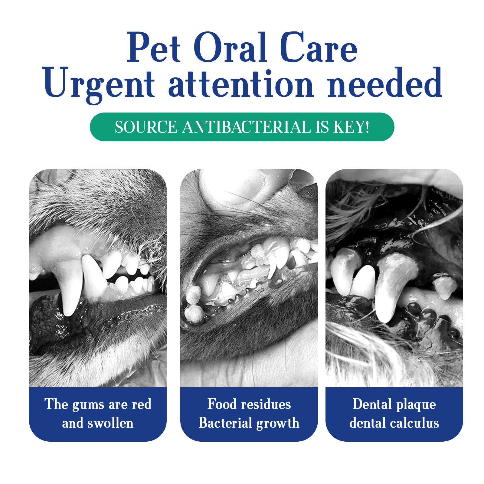 ODM/OEM Oral Health Supplement - Natural Dog Tooth Whitening, Tartar Removal, Dog Teeth Cleaning Powder for Pets - Image 4