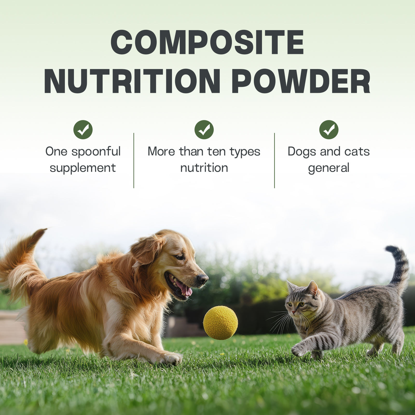 Pet Supplement Combined for Cats and Dogs, for Skin Health, Digestive Health, Probiotic, Immune System, Comprehensive Vitamin - Image 4