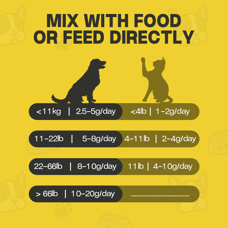 Pet Nutrition Probiotic Powder Regulating Intestinal Flora Balance Is Suitable Dietary Supplements for Cats and Dogs - Image 4