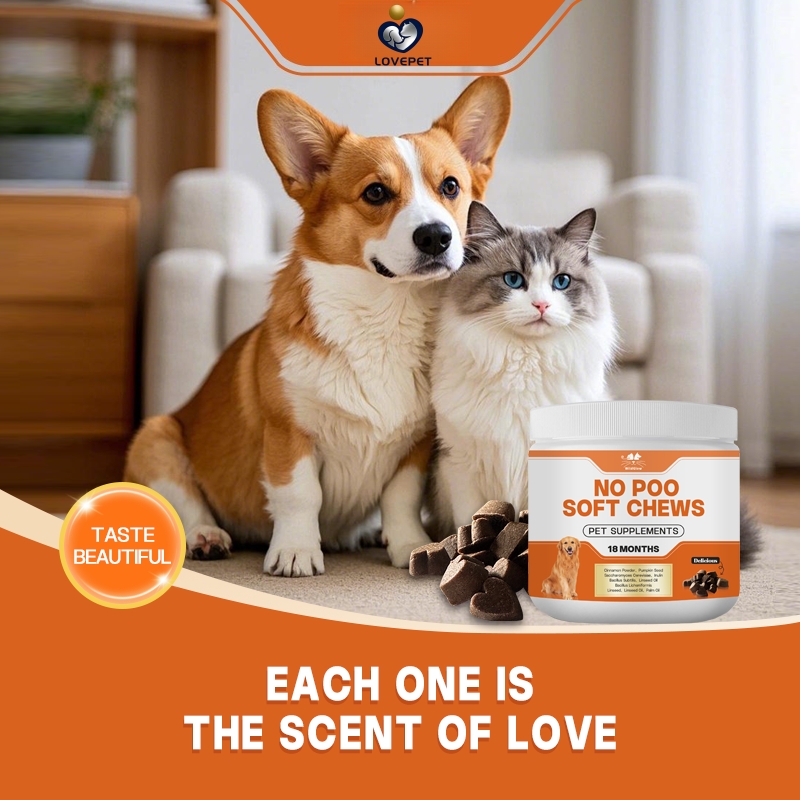 OEM/ODM No Poo Soft Chews for Cats and Dogs Pet Health Care Supplements Customized Flavors, Customized Shapes Pet Supplement - Image 5