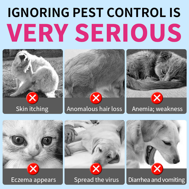 Wholesale Dog Vitamins Deworm Supplement Dog Deworming Soft Chews Pet Supplements Vitamins for Adult Pet Nutritional Supplements - Image 5