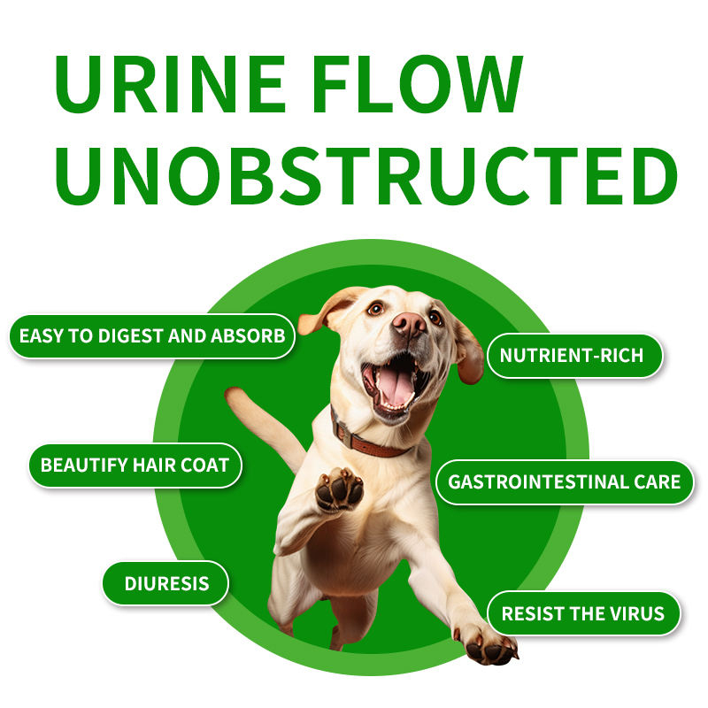 Wholesale Pet Supplements Probiotics Dog Treats Multivitamin Soft Chews Soft Chews cat Dogs Tract Health for Urinary - Image 6