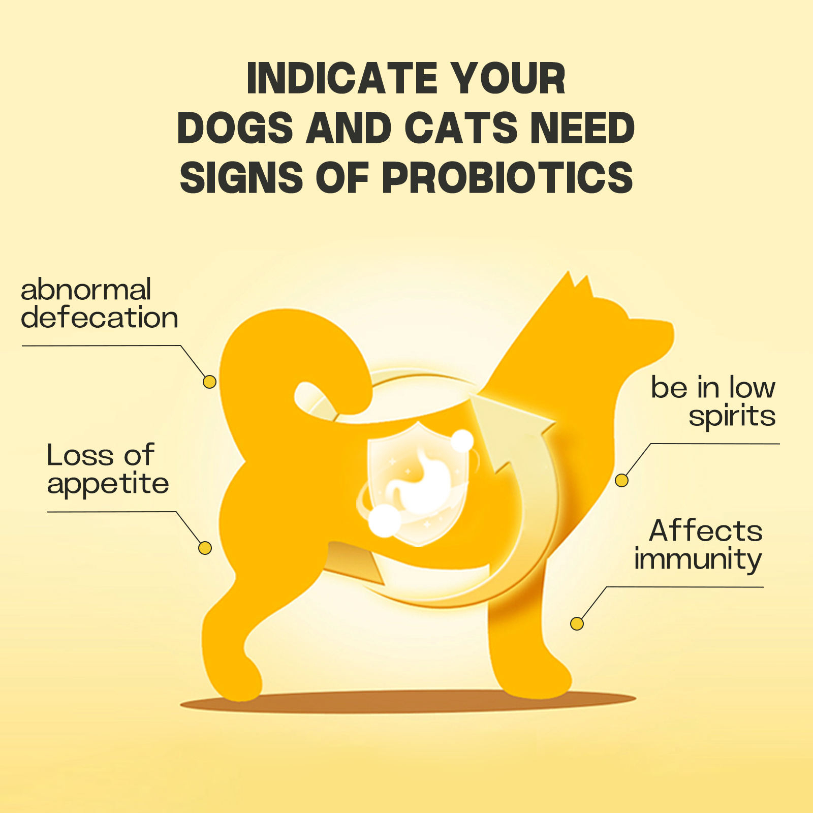 Pet Nutrition Probiotic Powder Regulating Intestinal Flora Balance Is Suitable Dietary Supplements for Cats and Dogs - Image 5