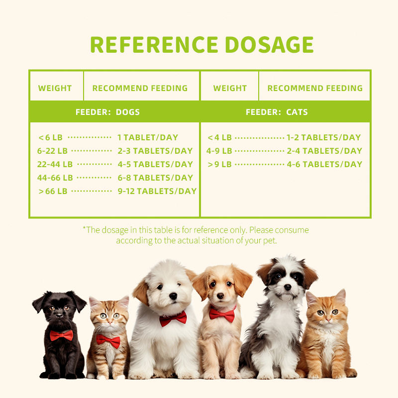 Suitable for Cats and Dogs Pet Health Products Herbal Supplements Gastrointestinal Regulation Herbal Deworming Tablets - Image 4