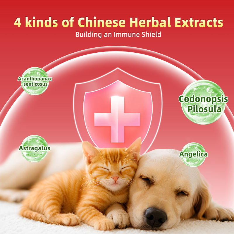 Customized Nutritional Gel Paste for Dogs and Cats Supporting Passive Immune Health Factory Direct OEM ODM - Image 5