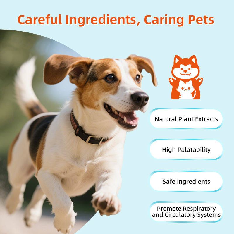Factory-Made Liquid Respiratory Supplement for Cats and Dogs Cough and Wheeze Relief Supports Lung Health and Immunity - Image 5