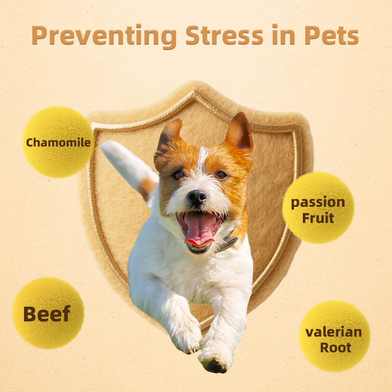 Customizable Calming Liquid Drops Pet Supplement Supports Stress Relief and Promotes Relaxation in Dogs Puppies and Cats - Image 5