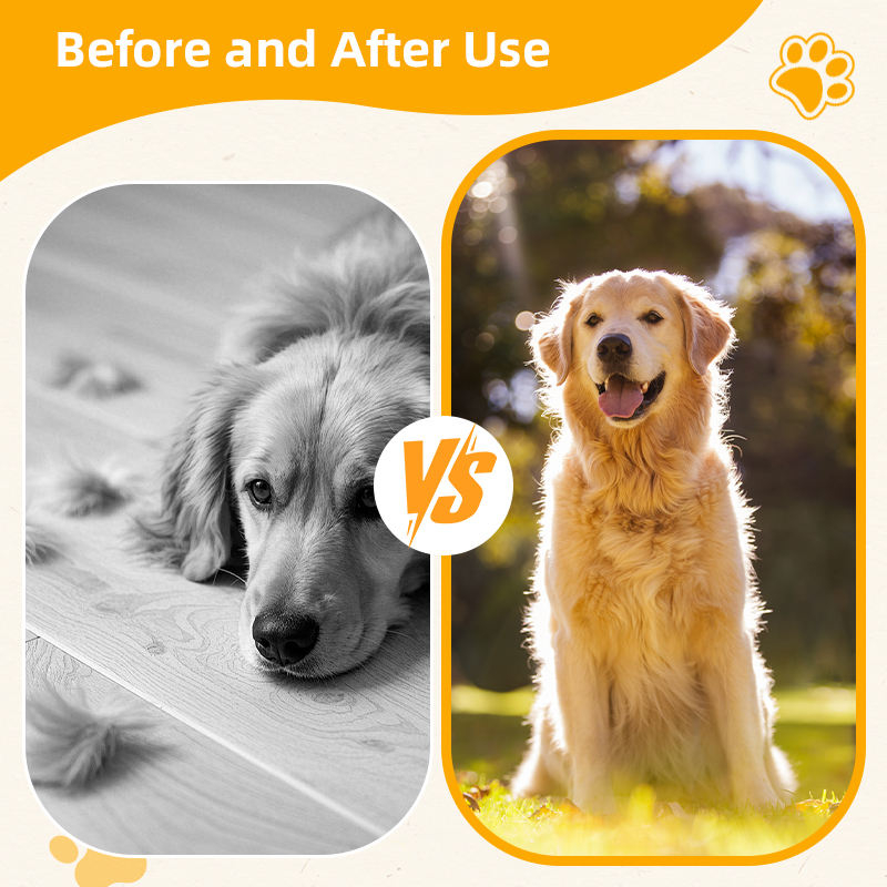 Chewable Pet Health Care Tablets Vitamins and Supplements to Support Healthy Skin and Coat Pest Control for Dogs and Cats - Image 5