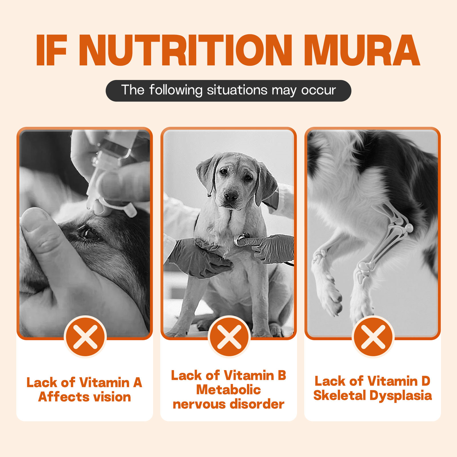 ODM/OEM Multivitamin Tablets for Dogs Cats Pets Digestive Health Seasonal Support Pet Health Care Vitamins Supplements - Image 6