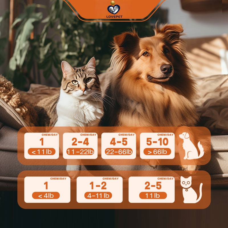 OEM/ODM No Poo Soft Chews for Cats and Dogs Pet Health Care Supplements Customized Flavors, Customized Shapes Pet Supplement - Image 6