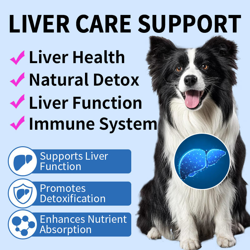 Natural Pet Liver Health Supplement Soft Chews Dog Treats with Milk Thistle Extract Vitamins Support Dog's Liver Function - Image 6
