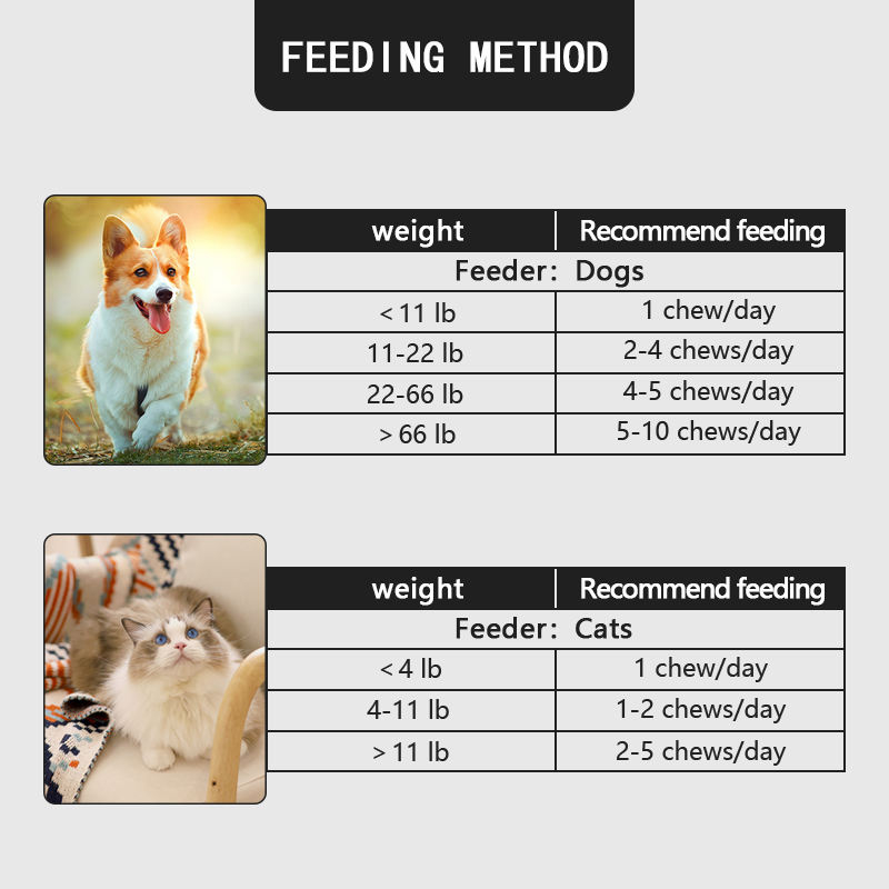 Private Label Pet Health Care & Supplements Dog Supplement Soft Chews Pet Probiotic Anal Gland Support Chews for Dogs - Image 6