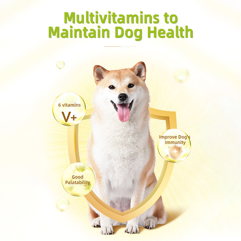 Vitamin B Complex Nutritional Paste for Dogs & Cats-Fast Absorption Immune Support & Gut Health Care 30ml - Image 6