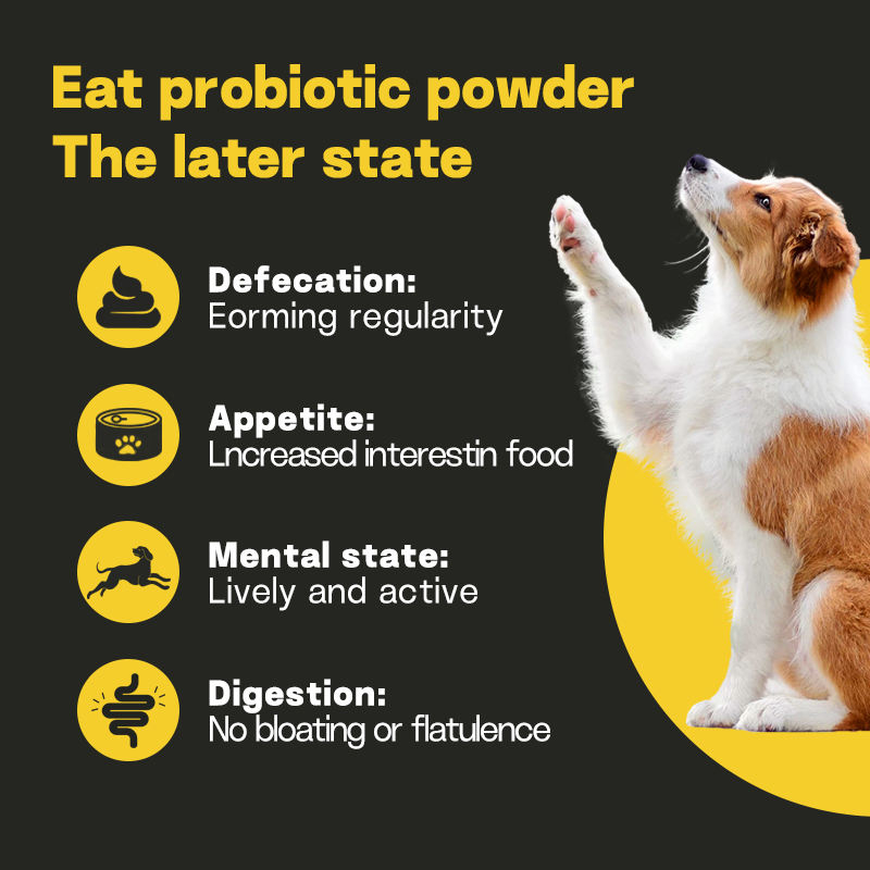 Pet Nutrition Probiotic Powder Regulating Intestinal Flora Balance Is Suitable Dietary Supplements for Cats and Dogs - Image 6